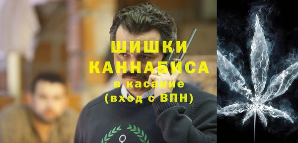 apvp Протвино