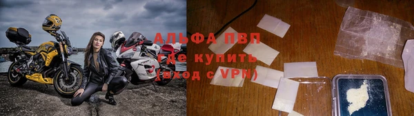 индика Гусев