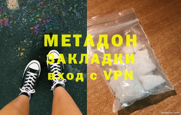 индика Гусев