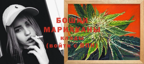 ГАЛЛЮЦИНОГЕННЫЕ ГРИБЫ Пролетарск