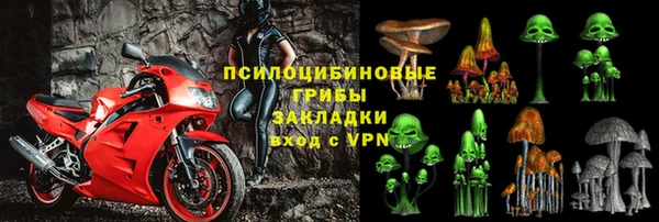 индика Гусев