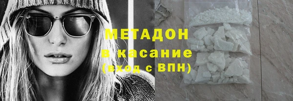 индика Гусев